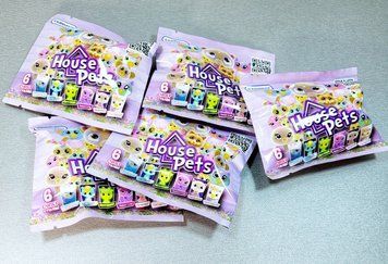 Таємний улюбленець фігурки House pets Kiddisvit 1065В 1065В фото